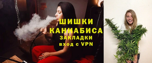 PSILOCYBIN Богданович