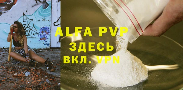 PSILOCYBIN Богданович