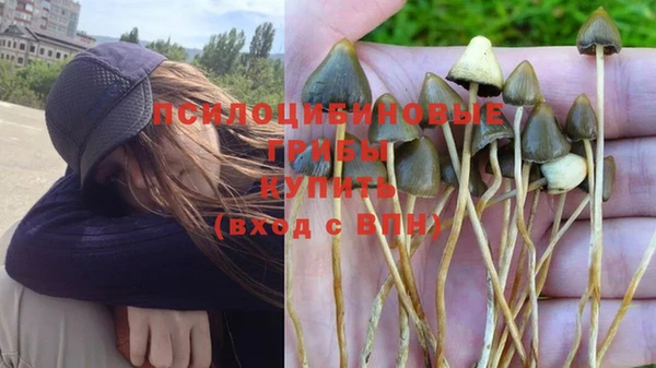 PSILOCYBIN Богданович