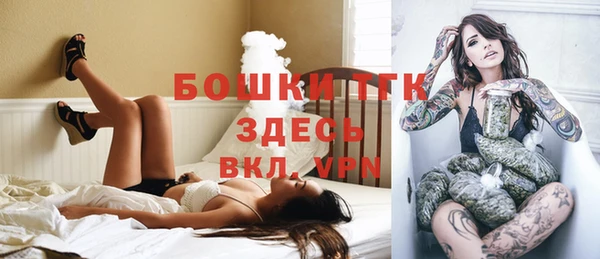 PSILOCYBIN Богданович