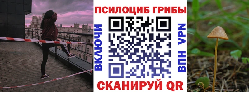 Галлюциногенные грибы Psilocybe  купить наркоту  Лянтор 